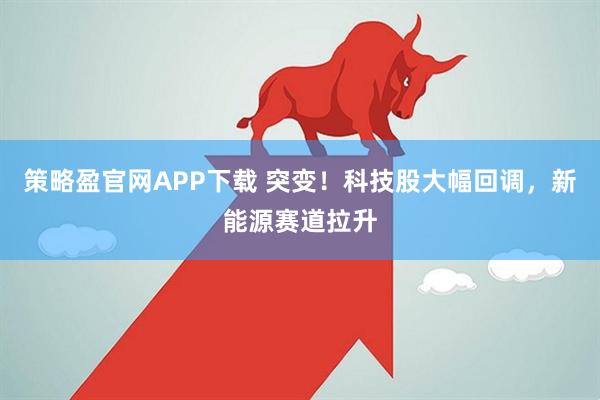 策略盈官网APP下载 突变!科技股大幅回调,新能源赛道拉升