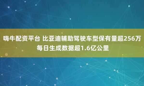嗨牛配资平台 比亚迪辅助驾驶车型保有量超256万 每日生成数据超1.6亿公里