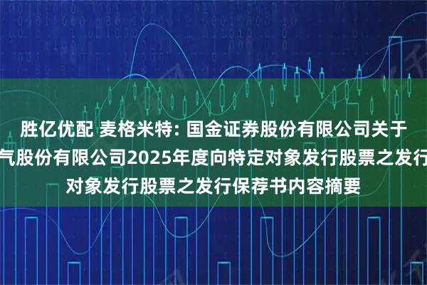 胜亿优配 麦格米特: 国金证券股份有限公司关于深圳麦格米特电气股份有限公司2025年度向特定对象发行股票之发行保荐书内容摘要