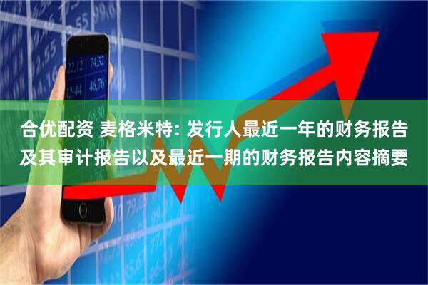 合优配资 麦格米特: 发行人最近一年的财务报告及其审计报告以及最近一期的财务报告内容摘要