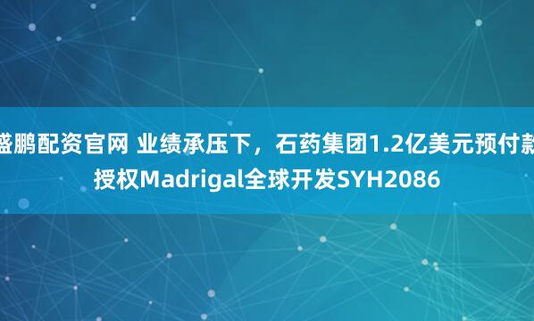 盛鹏配资官网 业绩承压下，石药集团1.2亿美元预付款授权Madrigal全球开发SYH2086
