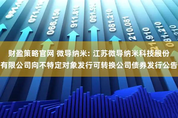 财盈策略官网 微导纳米: 江苏微导纳米科技股份有限公司向不特定对象发行可转换公司债券发行公告