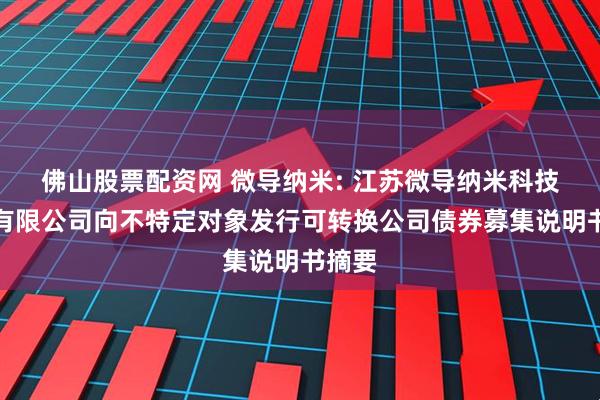 佛山股票配资网 微导纳米: 江苏微导纳米科技股份有限公司向不特定对象发行可转换公司债券募集说明书摘要