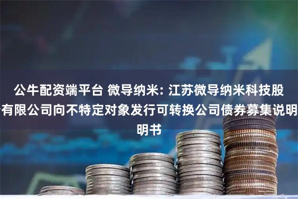 公牛配资端平台 微导纳米: 江苏微导纳米科技股份有限公司向不特定对象发行可转换公司债券募集说明书